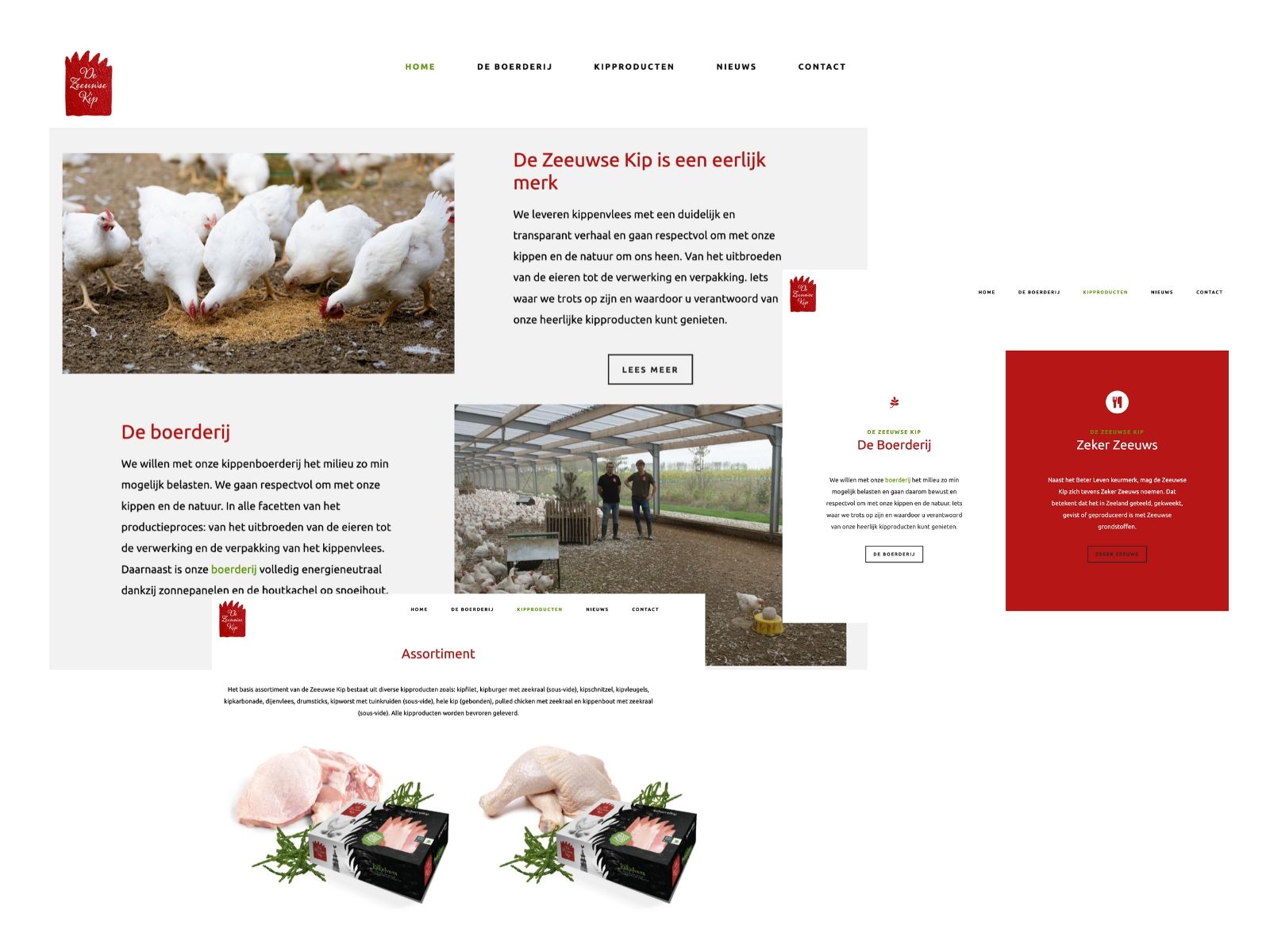 de zeeuwse kip website
